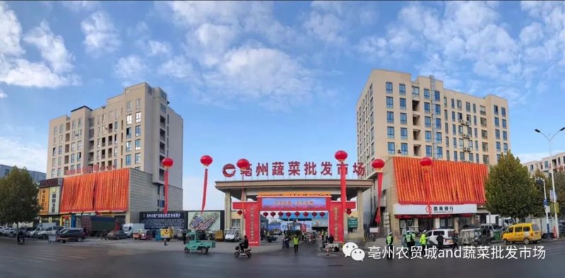 了解农产品批发:从新手到专家的进阶之路